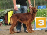 KM-12 Finby Gordon